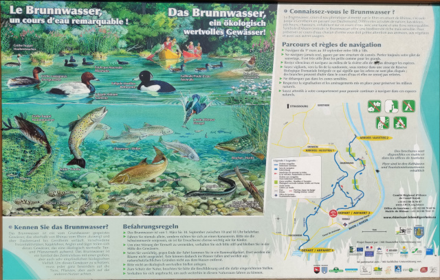 brunnwasser