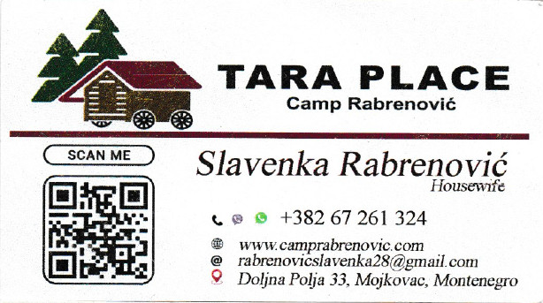 slavenka-rabrenovic